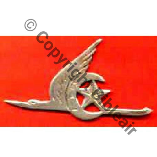 NH GAL GROUPE AERIEN DE LIAISON ALGER1944 Sc.BRUGNEROTTO